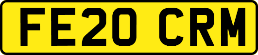 FE20CRM