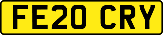 FE20CRY