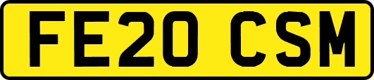 FE20CSM