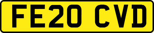FE20CVD