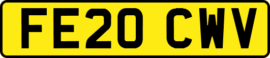 FE20CWV