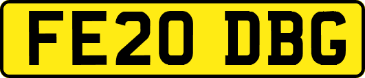 FE20DBG