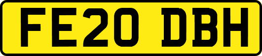 FE20DBH