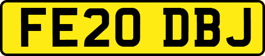 FE20DBJ