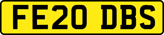 FE20DBS