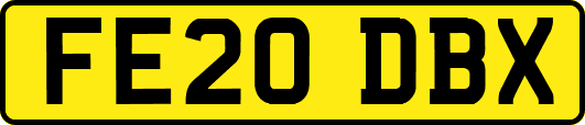 FE20DBX