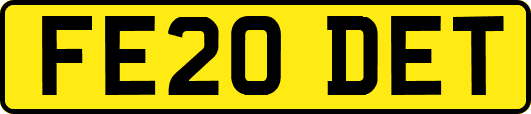 FE20DET
