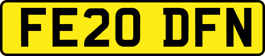FE20DFN