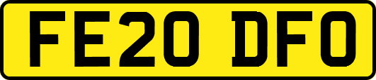 FE20DFO