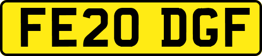 FE20DGF