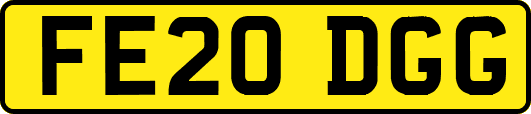 FE20DGG
