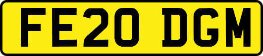 FE20DGM