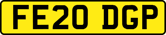 FE20DGP