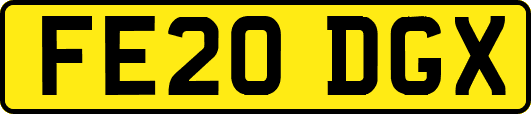FE20DGX