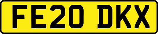 FE20DKX