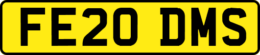 FE20DMS