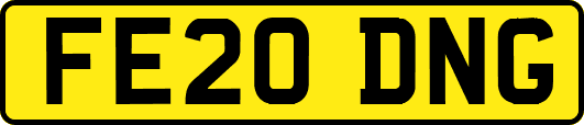 FE20DNG