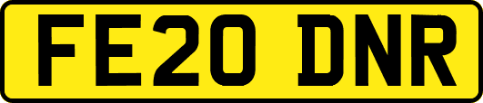 FE20DNR