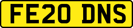 FE20DNS