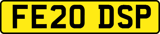 FE20DSP