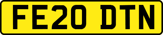 FE20DTN