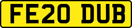 FE20DUB