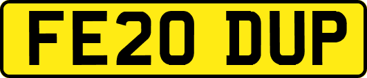 FE20DUP
