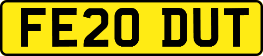 FE20DUT