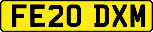 FE20DXM