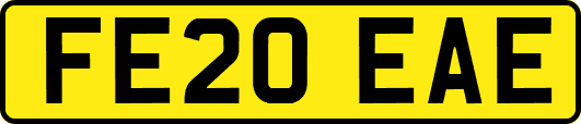 FE20EAE