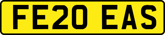 FE20EAS