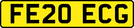 FE20ECG