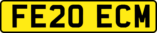 FE20ECM