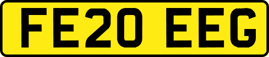 FE20EEG
