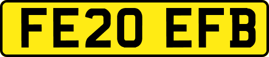 FE20EFB