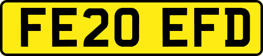 FE20EFD