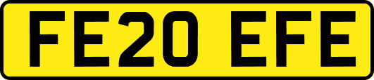 FE20EFE