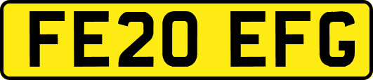 FE20EFG