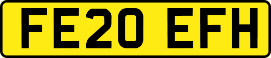 FE20EFH