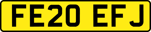 FE20EFJ