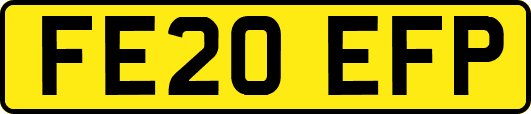 FE20EFP