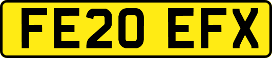 FE20EFX