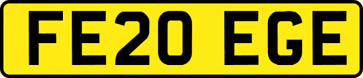 FE20EGE