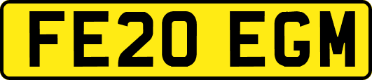 FE20EGM
