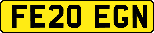 FE20EGN