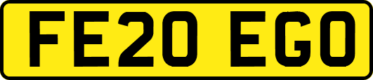 FE20EGO