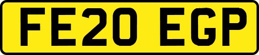 FE20EGP