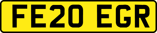 FE20EGR