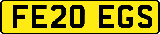 FE20EGS