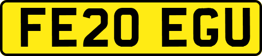 FE20EGU